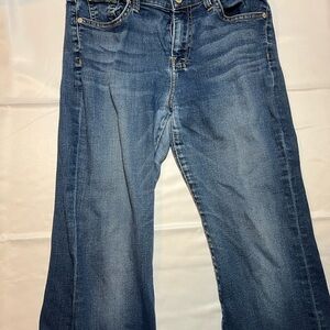 7 For All Mankind DOJO Jean